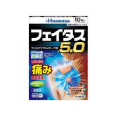 Hisamitsu 舒緩肩痛腰痛肌肉酸痛 10枚, 20枚, 50杖入