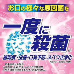 Zerora 藥用溫和薄荷殺菌牙膏 (小林製藥)